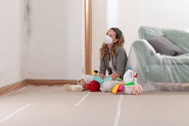 Reliable Mold Remediation contractor in Hempstead, TX by WQB Mold Removal